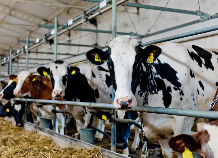 Overgang agrarisch bedrijf goed onderbouwen!