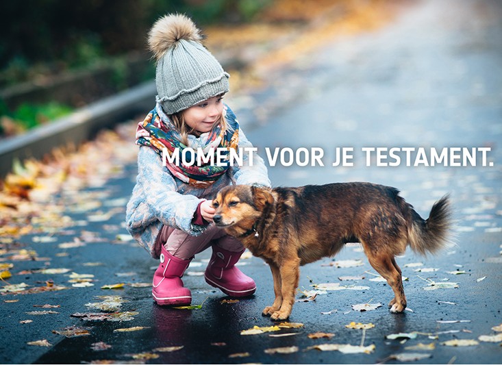 Zo blijft de erfenis van je kind.