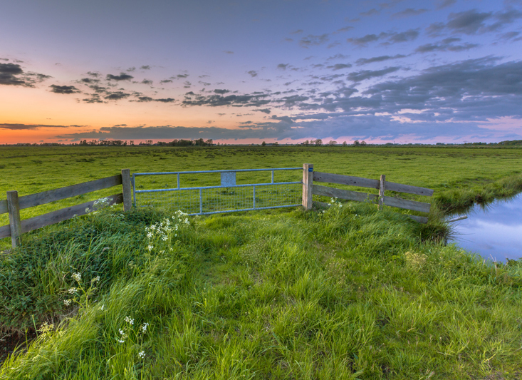 Verjaring 1_733x533.jpg