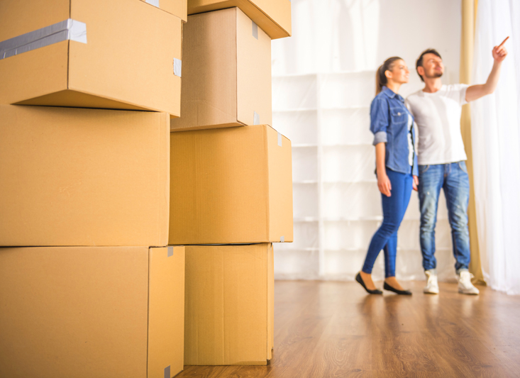 Verhuizen 2_733x533.jpg